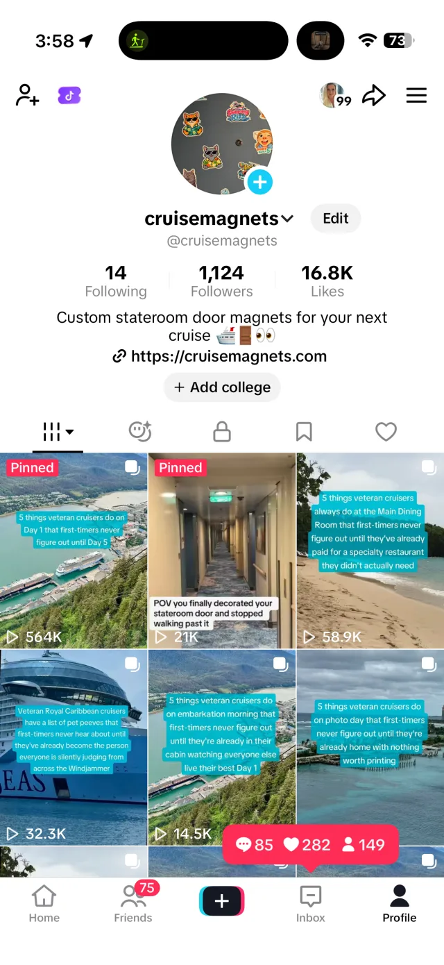 Live screenshot of the @cruisemagnets TikTok profile: 1,124 followers, 16.8K likes, with pinned slideshow posts at 564K and 58.9K views and additional posts at 32.3K, 21K, and 14.5K views.